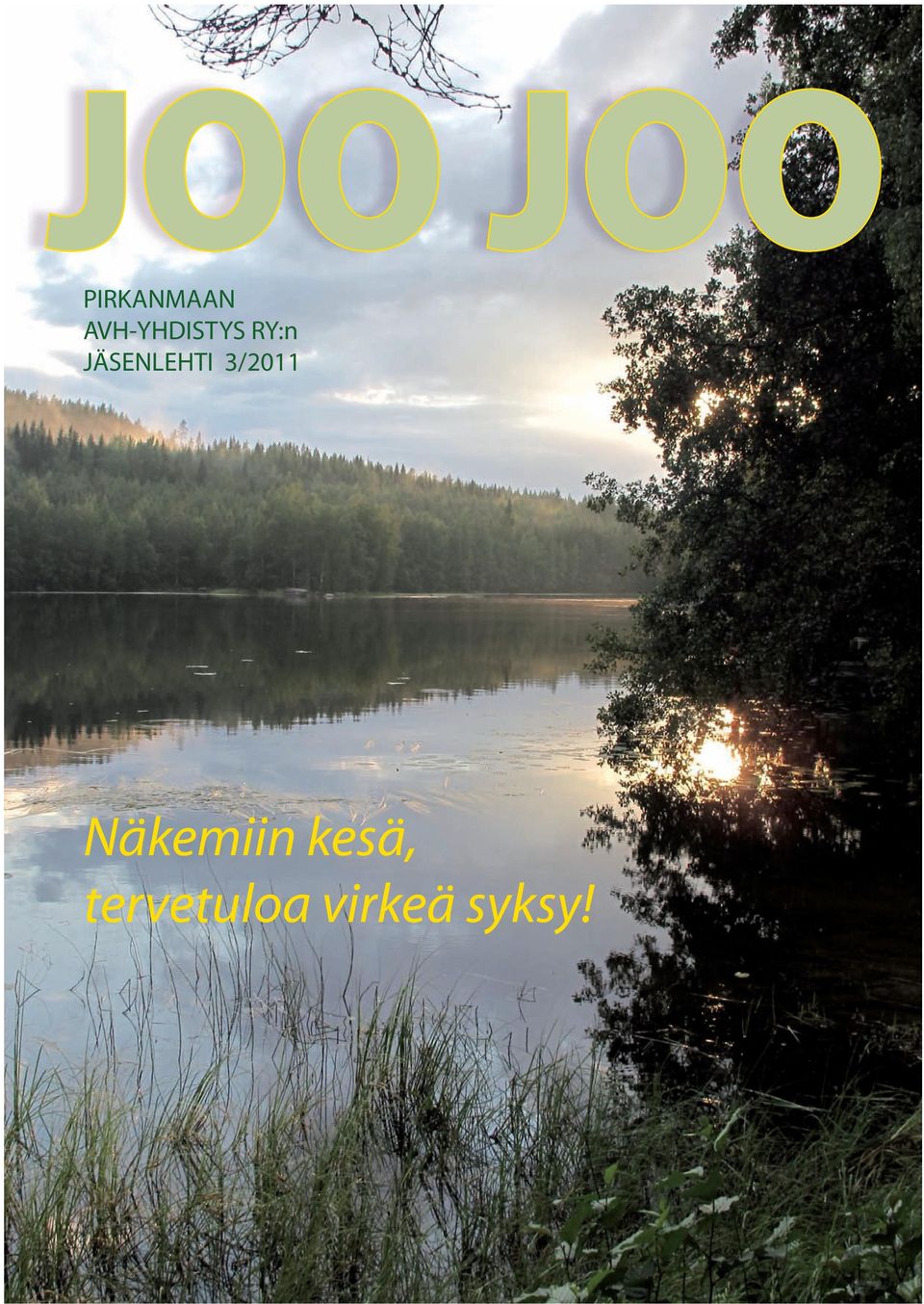 JÄSENLEHTI 3/2011