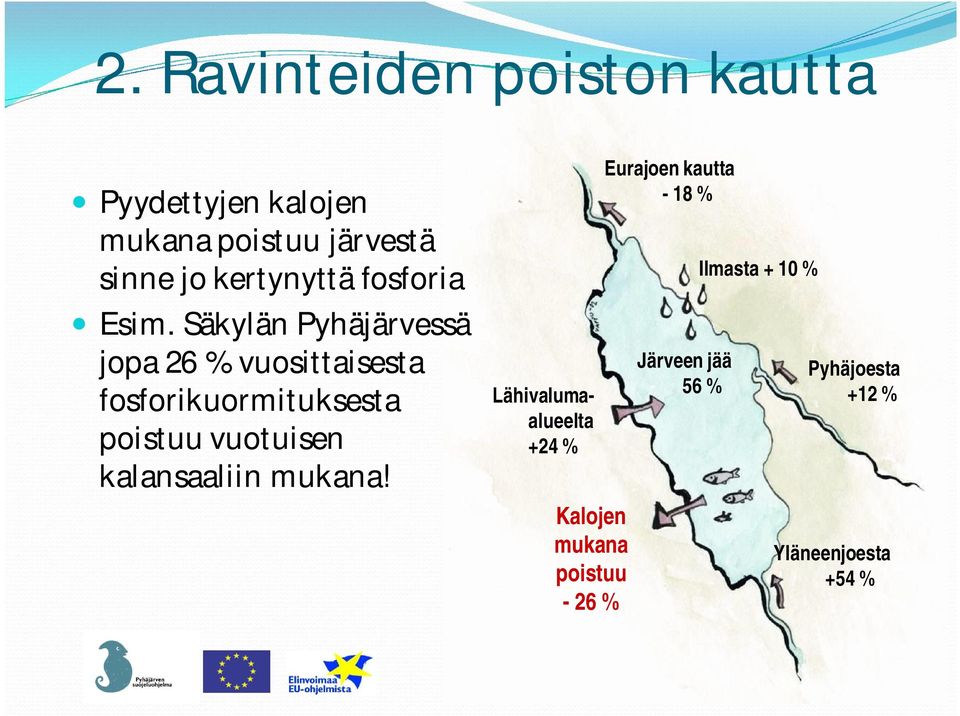 Säkylän Pyhäjärvessä jopa 26 % vuosittaisesta fosforikuormituksesta poistuu vuotuisen
