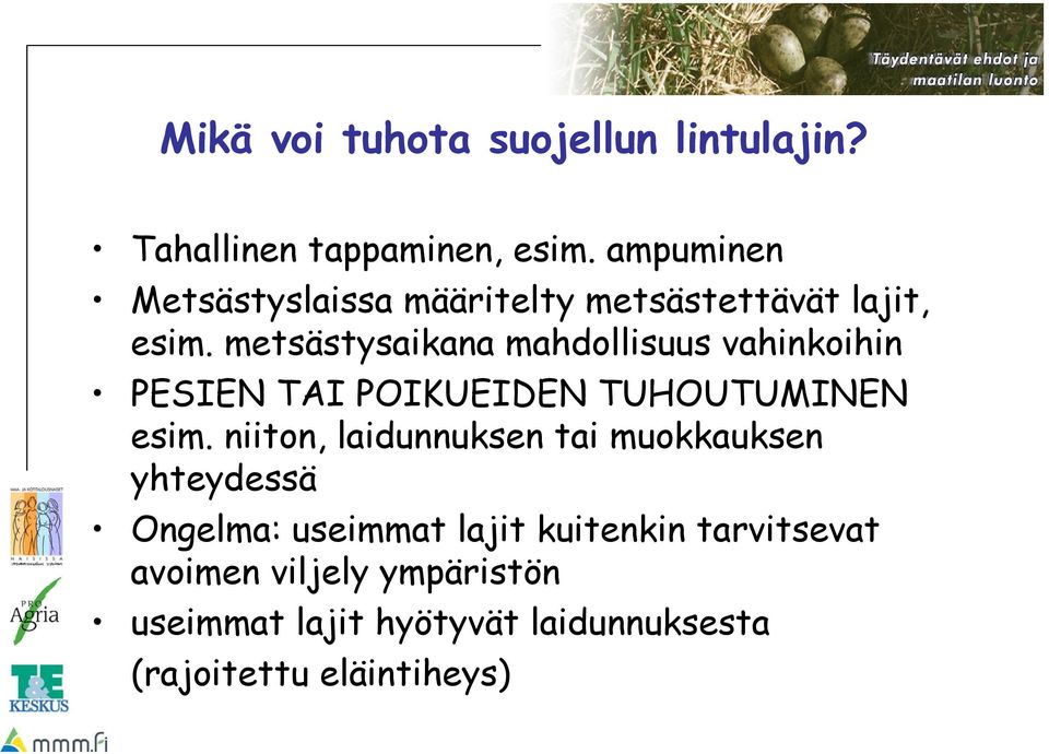 metsästysaikana mahdollisuus vahinkoihin PESIEN TAI POIKUEIDEN TUHOUTUMINEN esim.