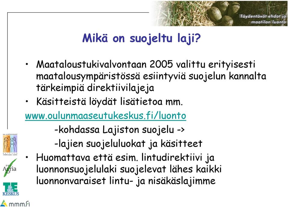 tärkeimpiä direktiivilajeja Käsitteistä löydät lisätietoa mm. www.oulunmaaseutukeskus.