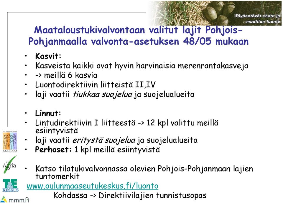 Lintudirektiivin I liitteestä -> 12 kpl valittu meillä esiintyvistä laji vaatii eritystä suojelua ja suojelualueita Perhoset: 1 kpl meillä