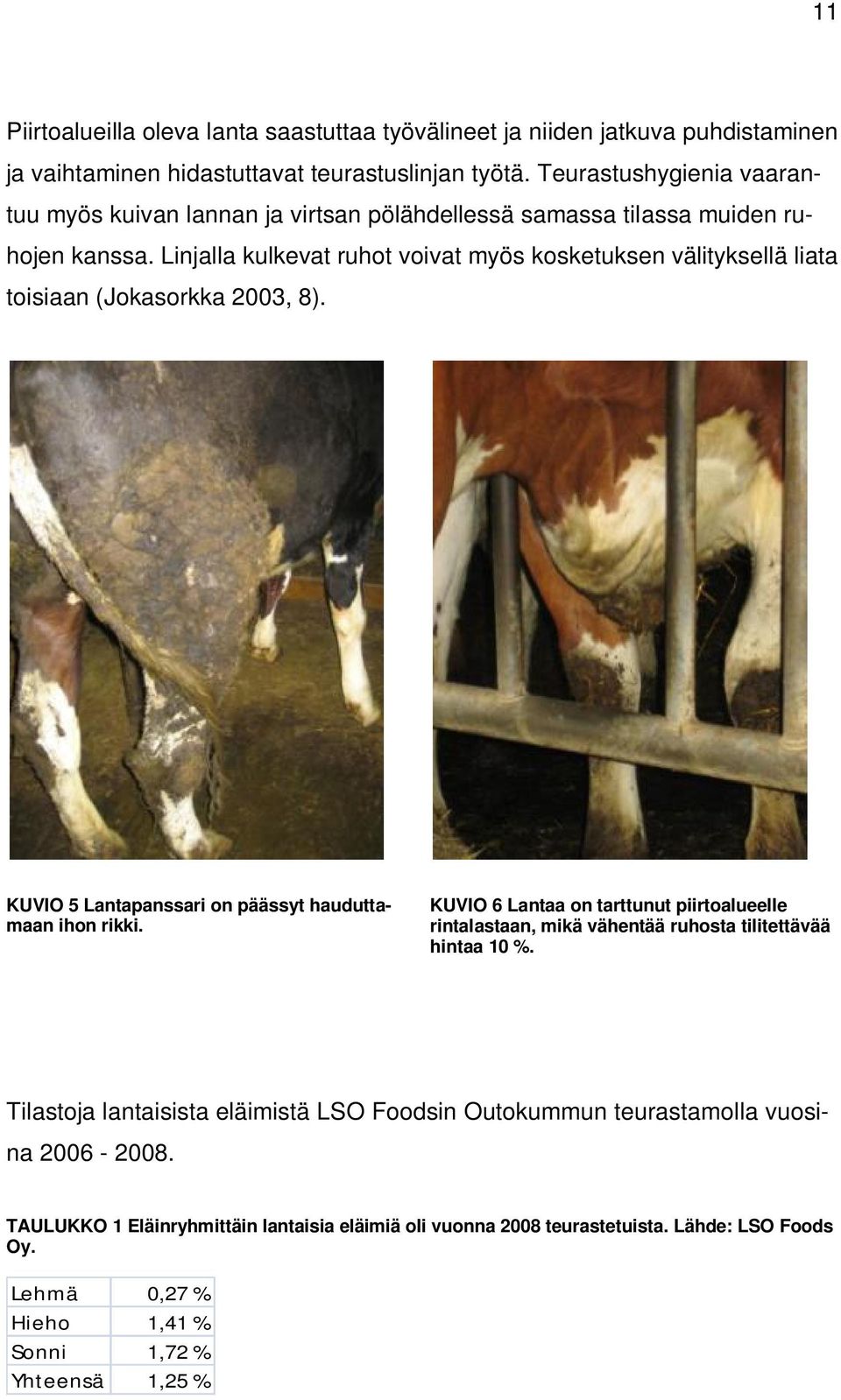 Linjalla kulkevat ruhot voivat myös kosketuksen välityksellä liata toisiaan (Jokasorkka 2003, 8). KUVIO 5 Lantapanssari on päässyt hauduttamaan ihon rikki.