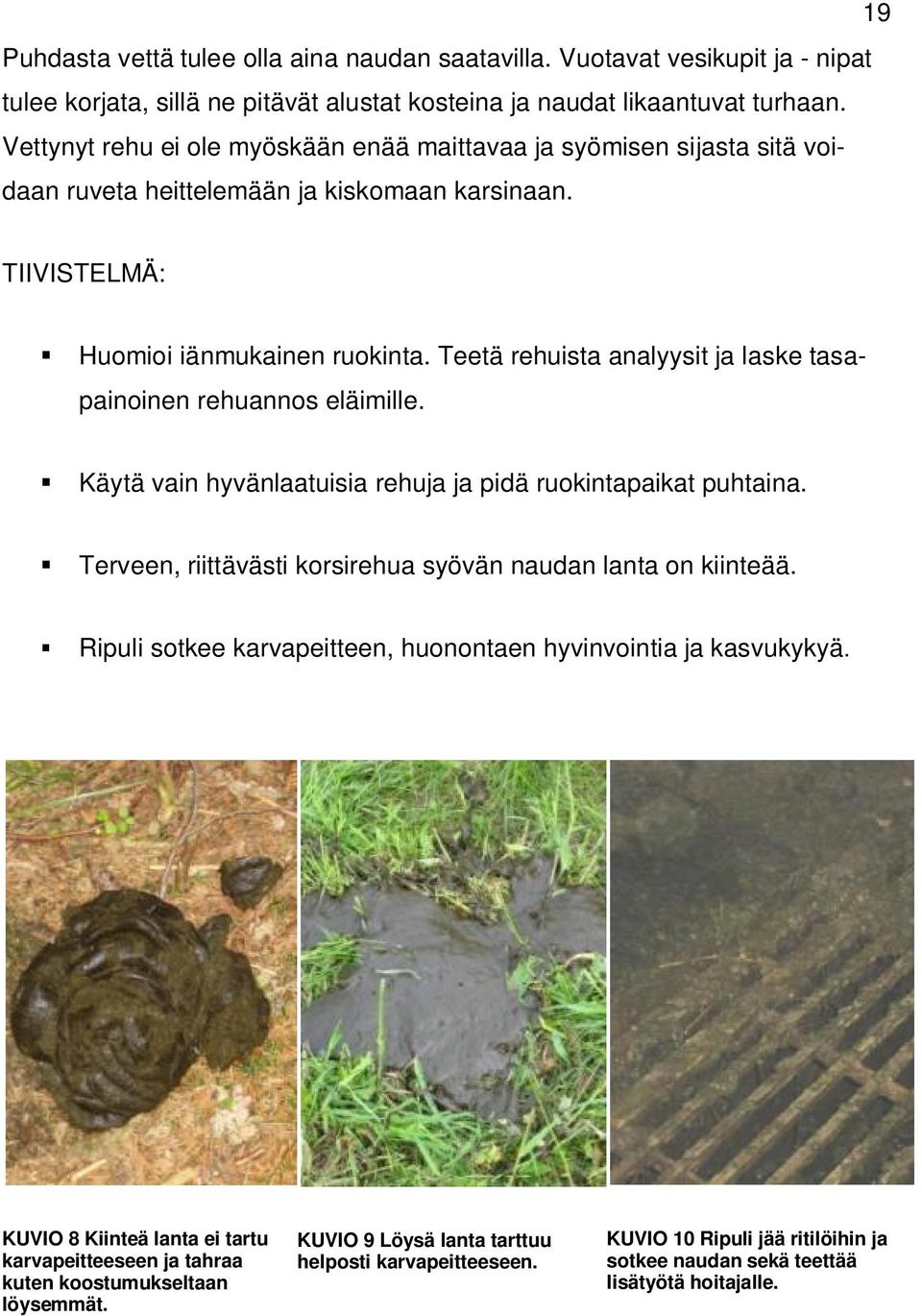 Teetä rehuista analyysit ja laske tasapainoinen rehuannos eläimille. Käytä vain hyvänlaatuisia rehuja ja pidä ruokintapaikat puhtaina. Terveen, riittävästi korsirehua syövän naudan lanta on kiinteää.
