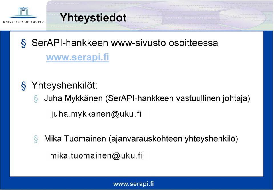 (SerAPI hankkeen vastuullinen johtaja)