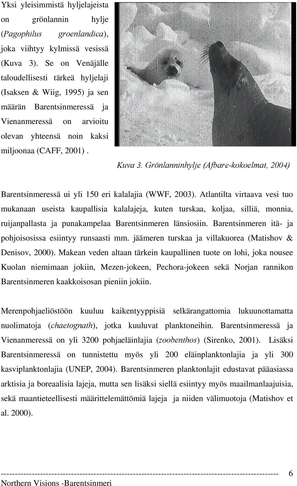 Grönlanninhylje (Afbare-kokoelmat, 2004) Barentsinmeressä ui yli 150 eri kalalajia (WWF, 2003).