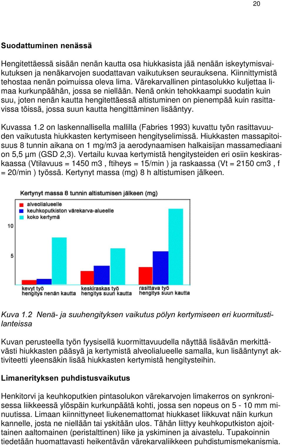 Nenä onkin tehokkaampi suodatin kuin suu, joten nenän kautta hengitettäessä altistuminen on pienempää kuin rasittavissa töissä, jossa suun kautta hengittäminen lisääntyy. Kuvassa 1.