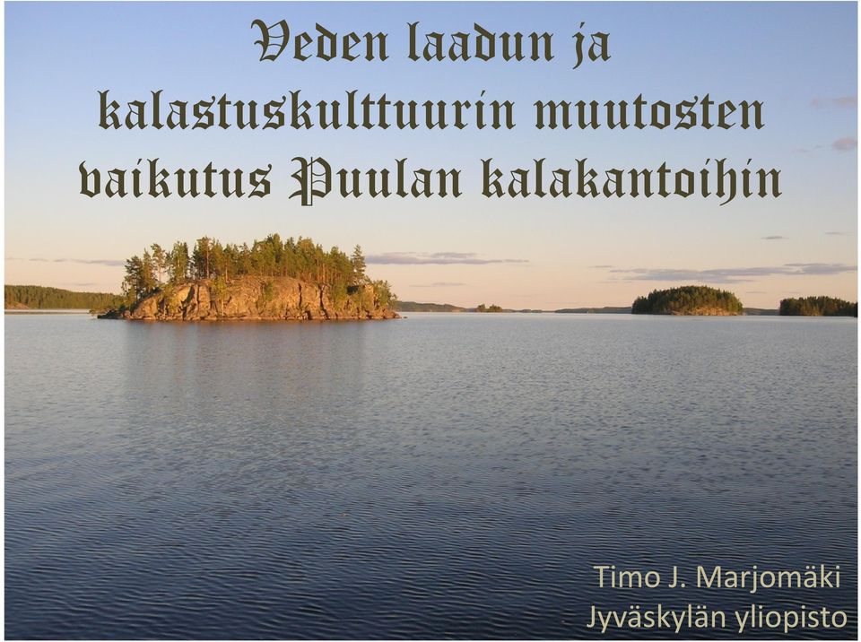 vaikutus Puulan