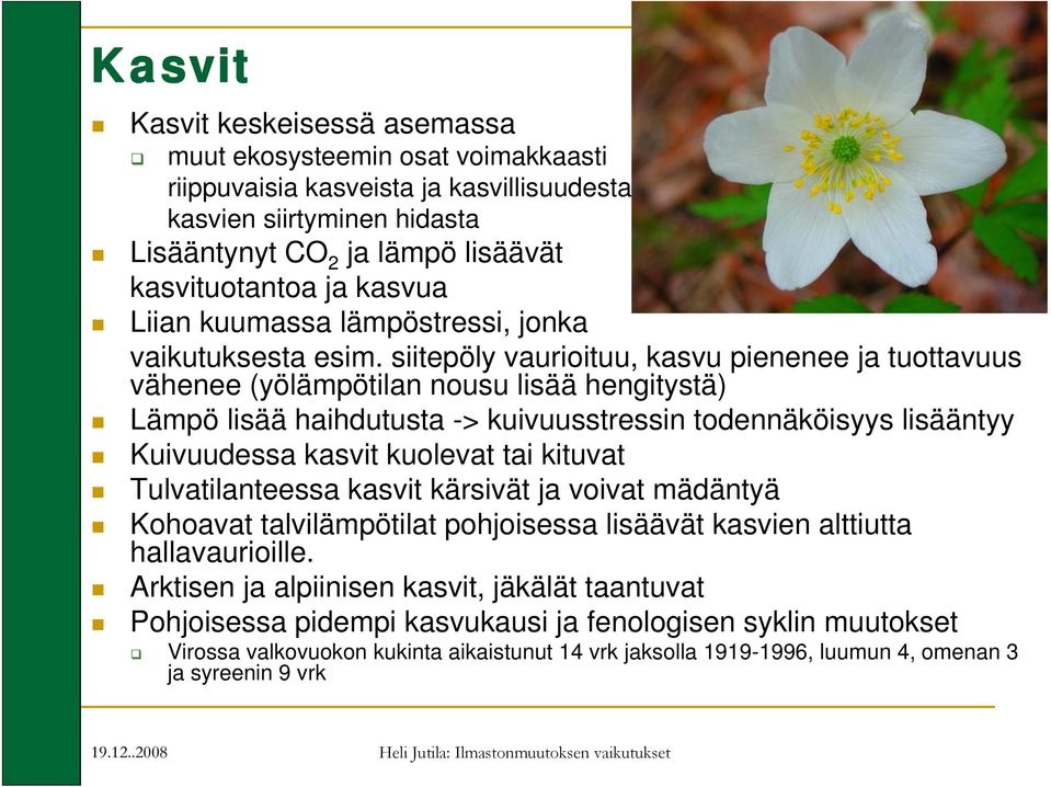 siitepöly vaurioituu, kasvu pienenee ja tuottavuus vähenee (yölämpötilan nousu lisää hengitystä) Lämpö lisää haihdutusta -> kuivuusstressin todennäköisyys lisääntyy Kuivuudessa kasvit kuolevat tai