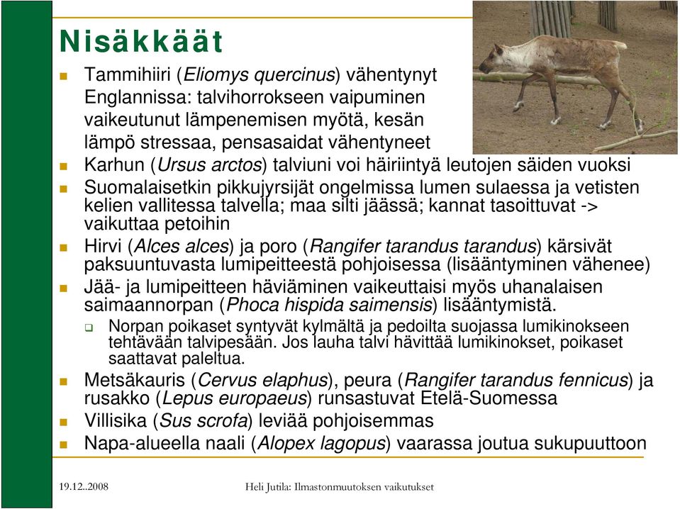 petoihin Hirvi (Alces alces) ja poro (Rangifer tarandus tarandus) kärsivät paksuuntuvasta lumipeitteestä pohjoisessa (lisääntyminen vähenee) Jää- ja lumipeitteen häviäminen vaikeuttaisi myös