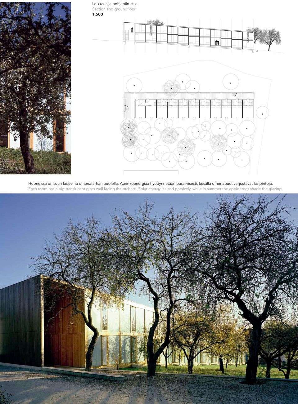 Aurinkoenergiaa hyödynnetään passiivisesti, kesällä omenapuut varjostavat lasipintoja.