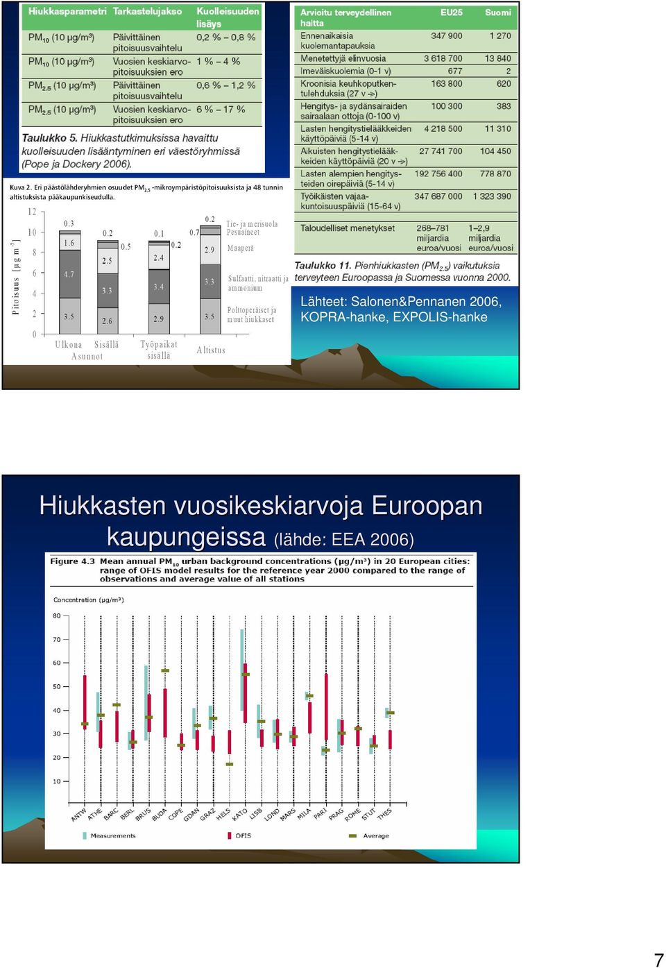 Hiukkasten vuosikeskiarvoja