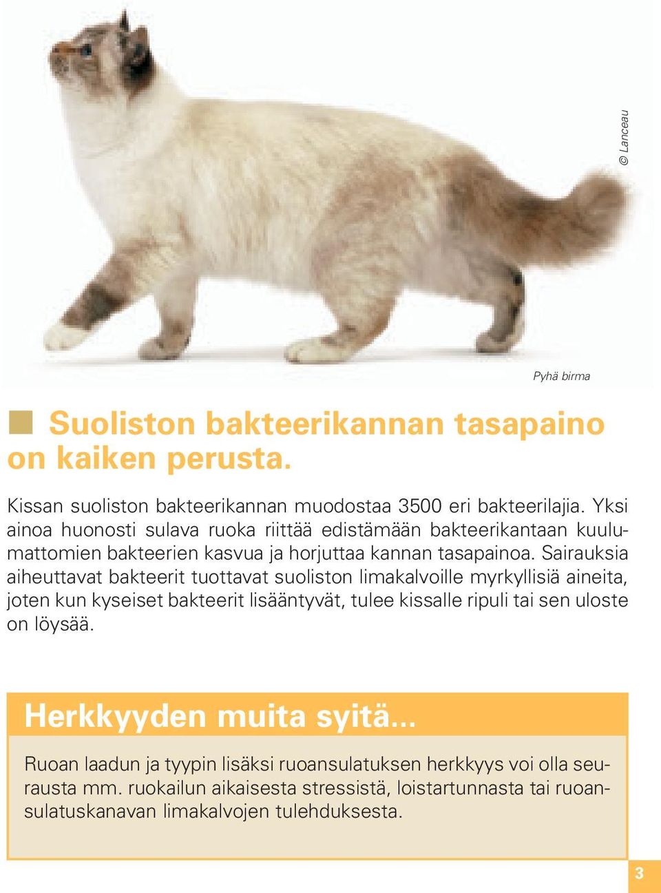 Sairauksia aiheuttavat bakteerit tuottavat suoliston limakalvoille myrkyllisiä aineita, joten kun kyseiset bakteerit lisääntyvät, tulee kissalle ripuli tai sen uloste