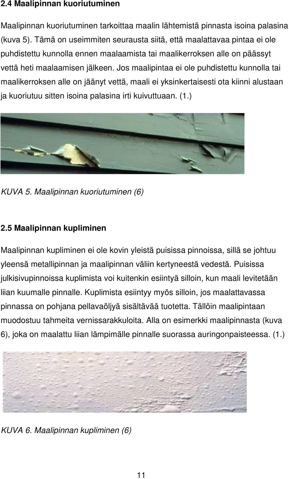 Jos maalipintaa ei ole puhdistettu kunnolla tai maalikerroksen alle on jäänyt vettä, maali ei yksinkertaisesti ota kiinni alustaan ja kuoriutuu sitten isoina palasina irti kuivuttuaan. (1.) KUVA 5.