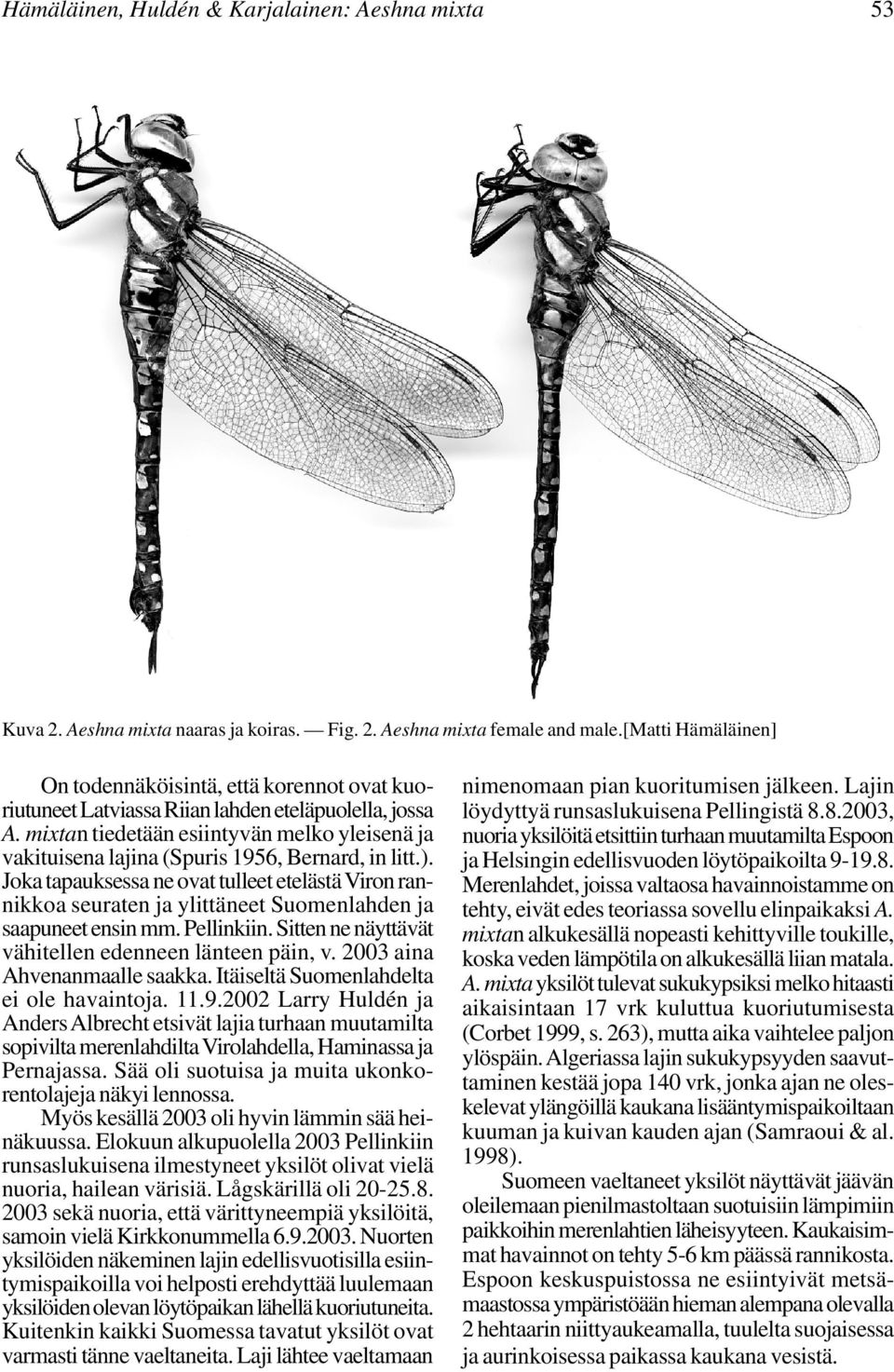 mixtan tiedetään esiintyvän melko yleisenä ja vakituisena lajina (Spuris 1956, Bernard, in litt.).