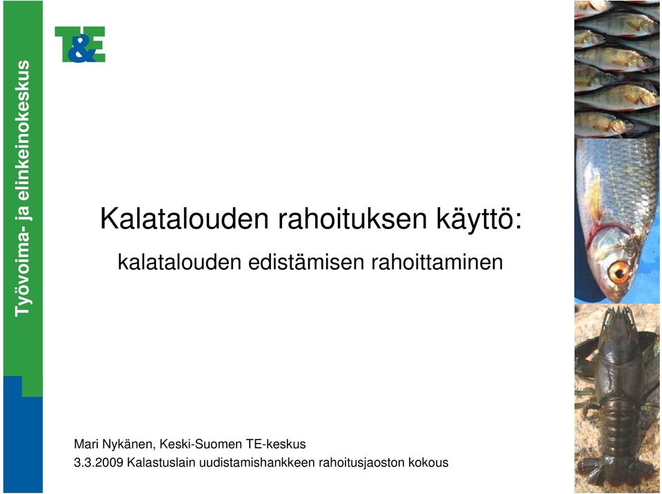 rahoittaminen Mari Nykänen, Keski-Suomen TE-keskus