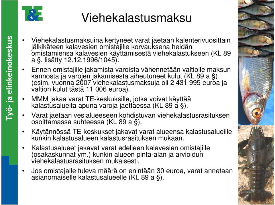 vuonna 2007 viehekalastusmaksuja oli 2 431 995 euroa ja valtion kulut tästä 11 006 euroa). MMM jakaa varat TE-keskuksille, jotka voivat käyttää kalastusalueita apuna varoja jaettaessa (KL 89 a ).