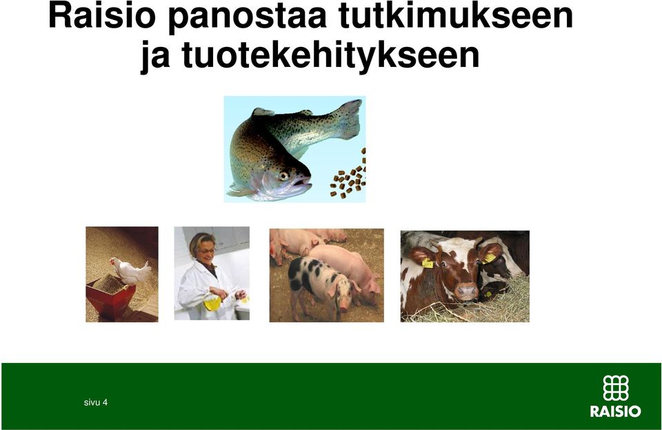 tutkimukseen