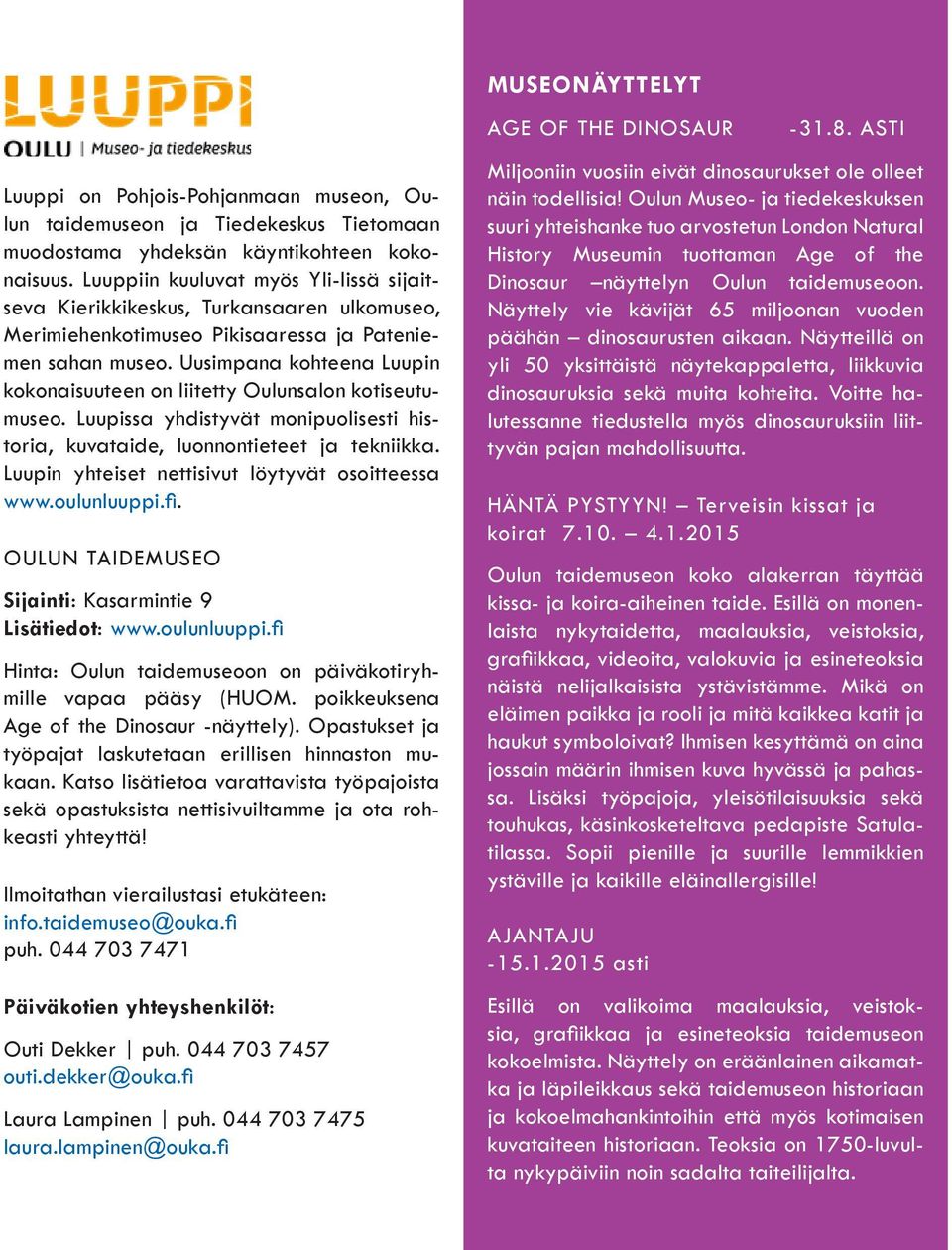 Uusimpana kohteena Luupin kokonaisuuteen on liitetty Oulunsalon kotiseutumuseo. Luupissa yhdistyvät monipuolisesti historia, kuvataide, luonnontieteet ja tekniikka.