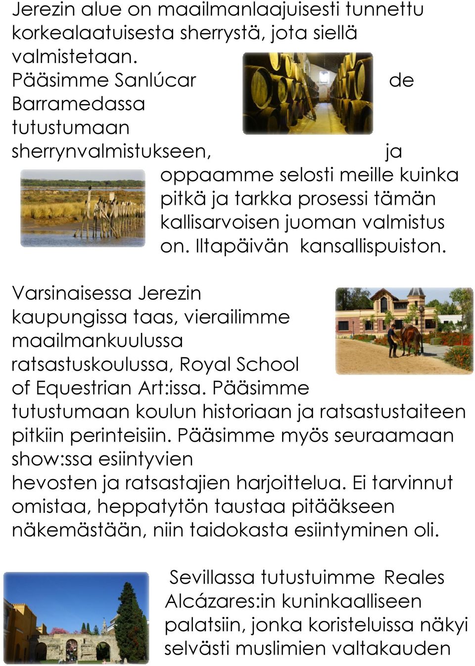 Varsinaisessa Jerezin kaupungissa taas, vierailimme maailmankuulussa ratsastuskoulussa, Royal School of Equestrian Art:issa.