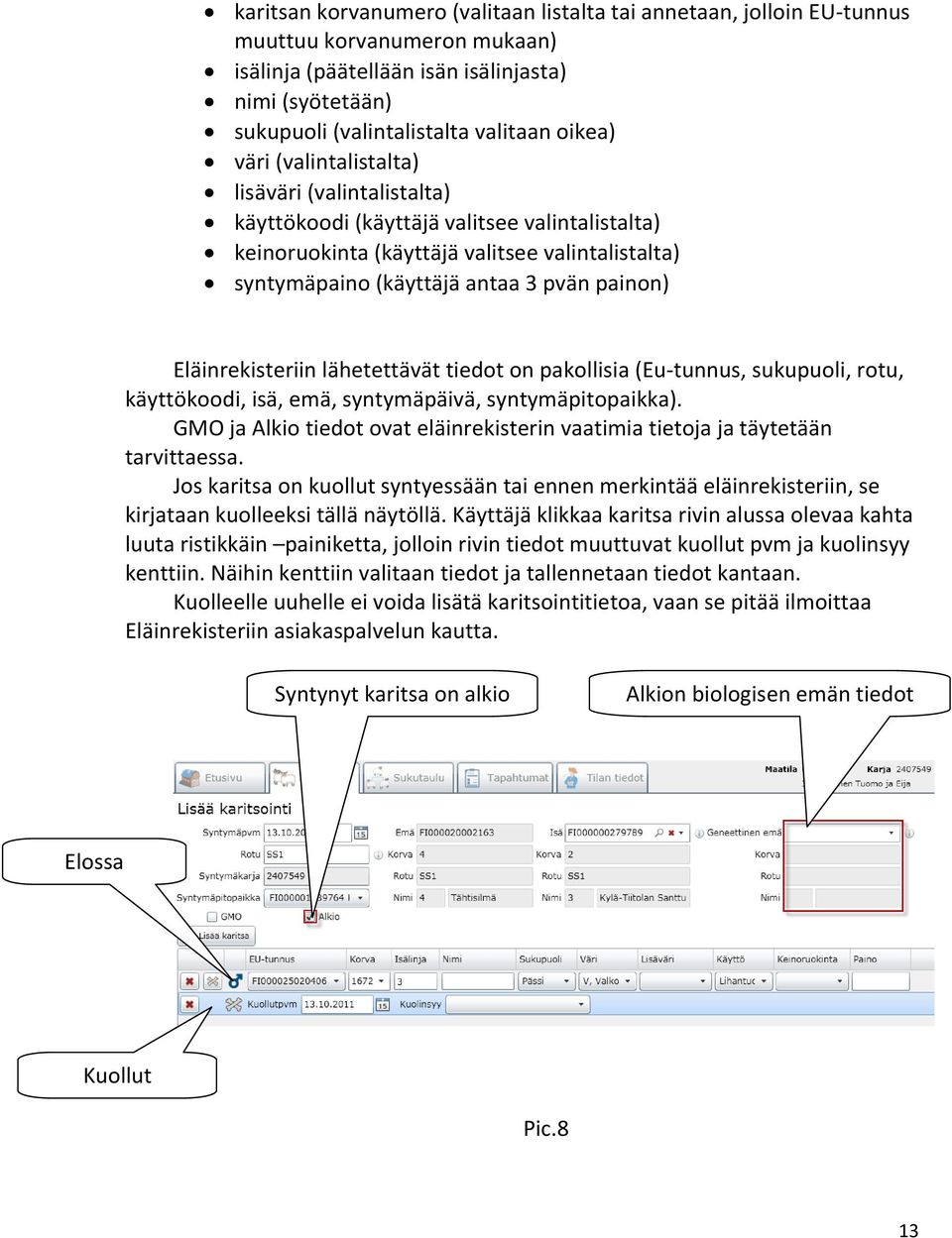 Eläinrekisteriin lähetettävät tiedot on pakollisia (Eu-tunnus, sukupuoli, rotu, käyttökoodi, isä, emä, syntymäpäivä, syntymäpitopaikka).