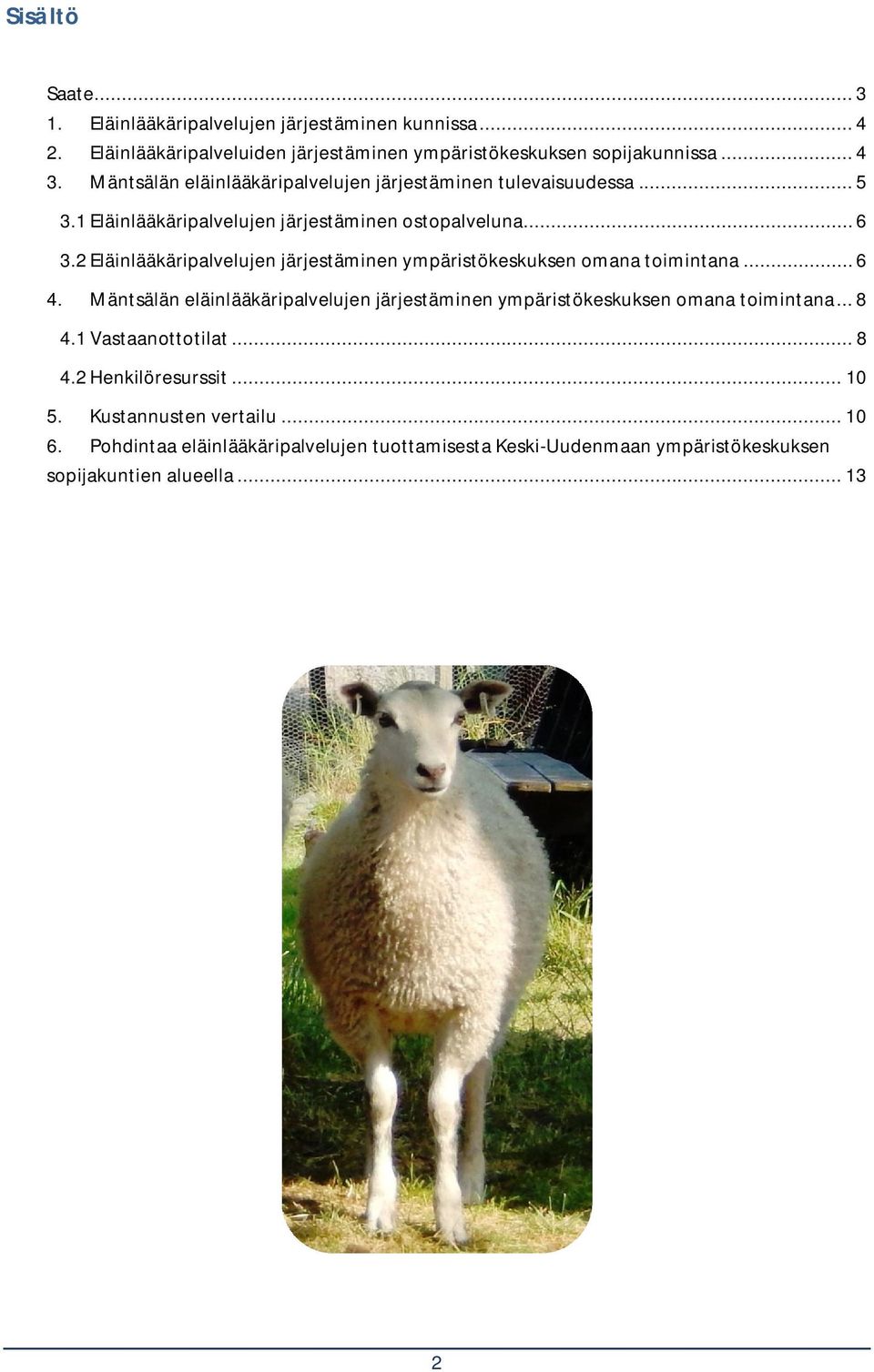 2 Eläinlääkäripalvelujen järjestäminen ympäristökeskuksen omana toimintana... 6 4.