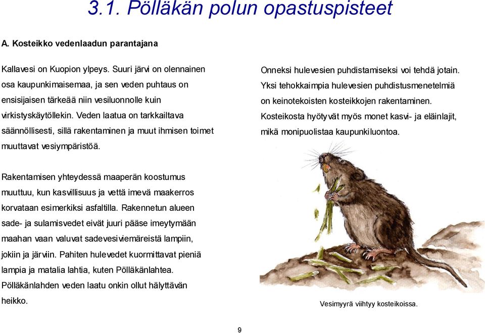 Veden laatua on tarkkailtava säännöllisesti, sillä rakentaminen ja muut ihmisen toimet muuttavat vesiympäristöä. Onneksi hulevesien puhdistamiseksi voi tehdä jotain.