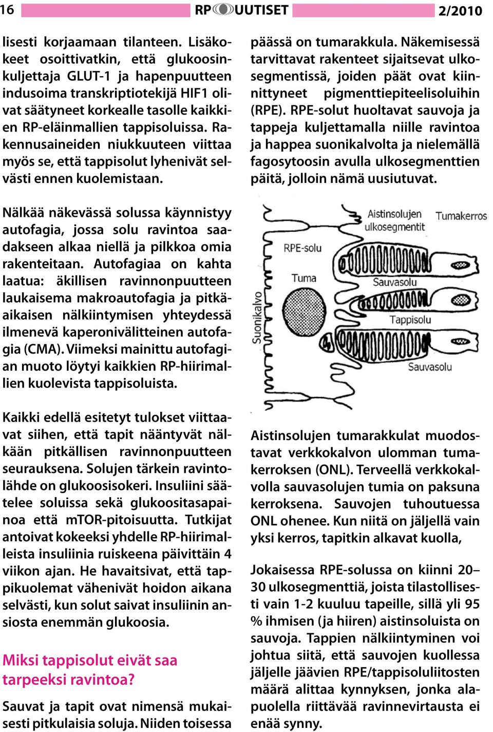 Rakennusaineiden niukkuuteen viittaa myös se, että tappisolut lyhenivät selvästi ennen kuolemistaan. päässä on tumarakkula.