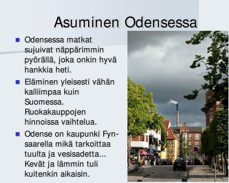 Eläminen yleisesti vähän kalliimpaa kuin Suomessa.