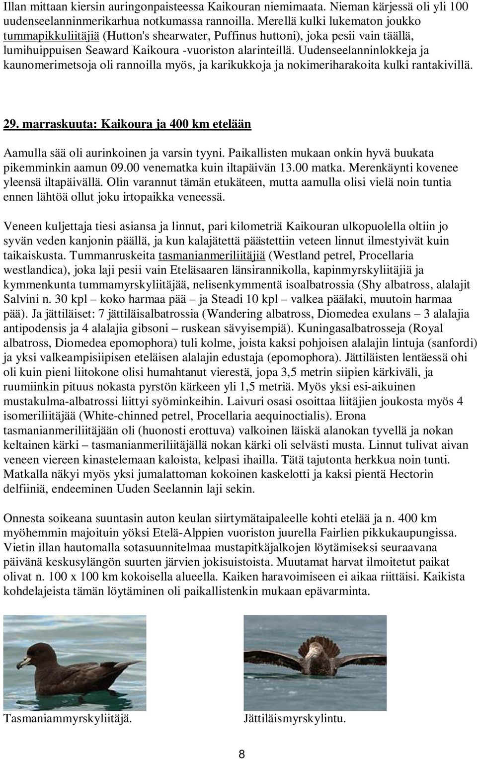 Uudenseelanninlokkeja ja kaunomerimetsoja oli rannoilla myös, ja karikukkoja ja nokimeriharakoita kulki rantakivillä. 29.
