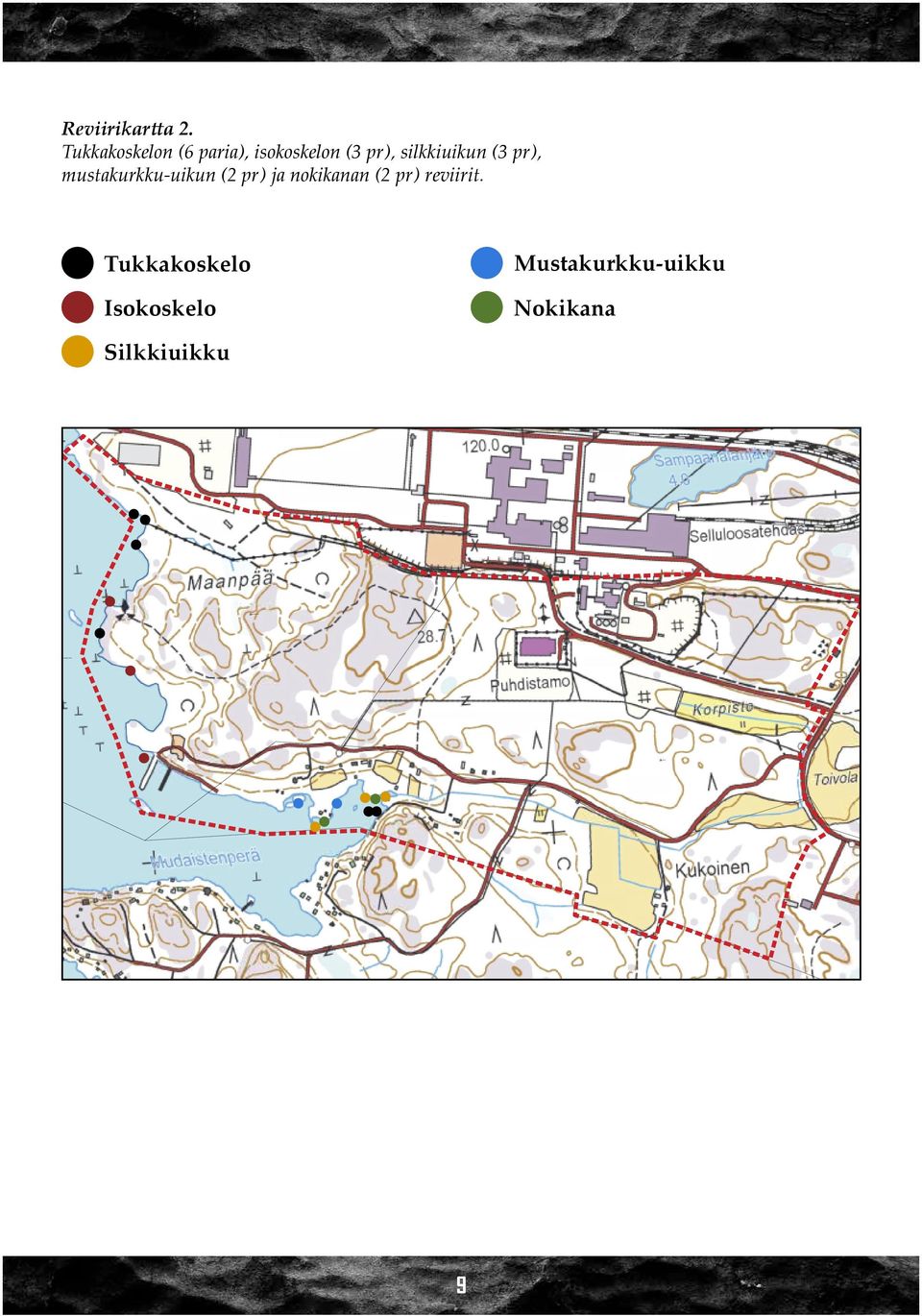 pr), mustakurkku-uikun (2 pr) ja nokikanan (2 pr) reviirit.