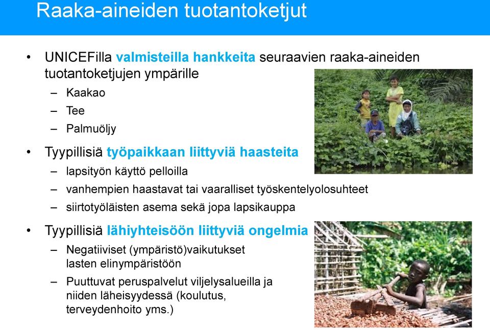 työskentelyolosuhteet siirtotyöläisten asema sekä jopa lapsikauppa Tyypillisiä lähiyhteisöön liittyviä ongelmia Negatiiviset