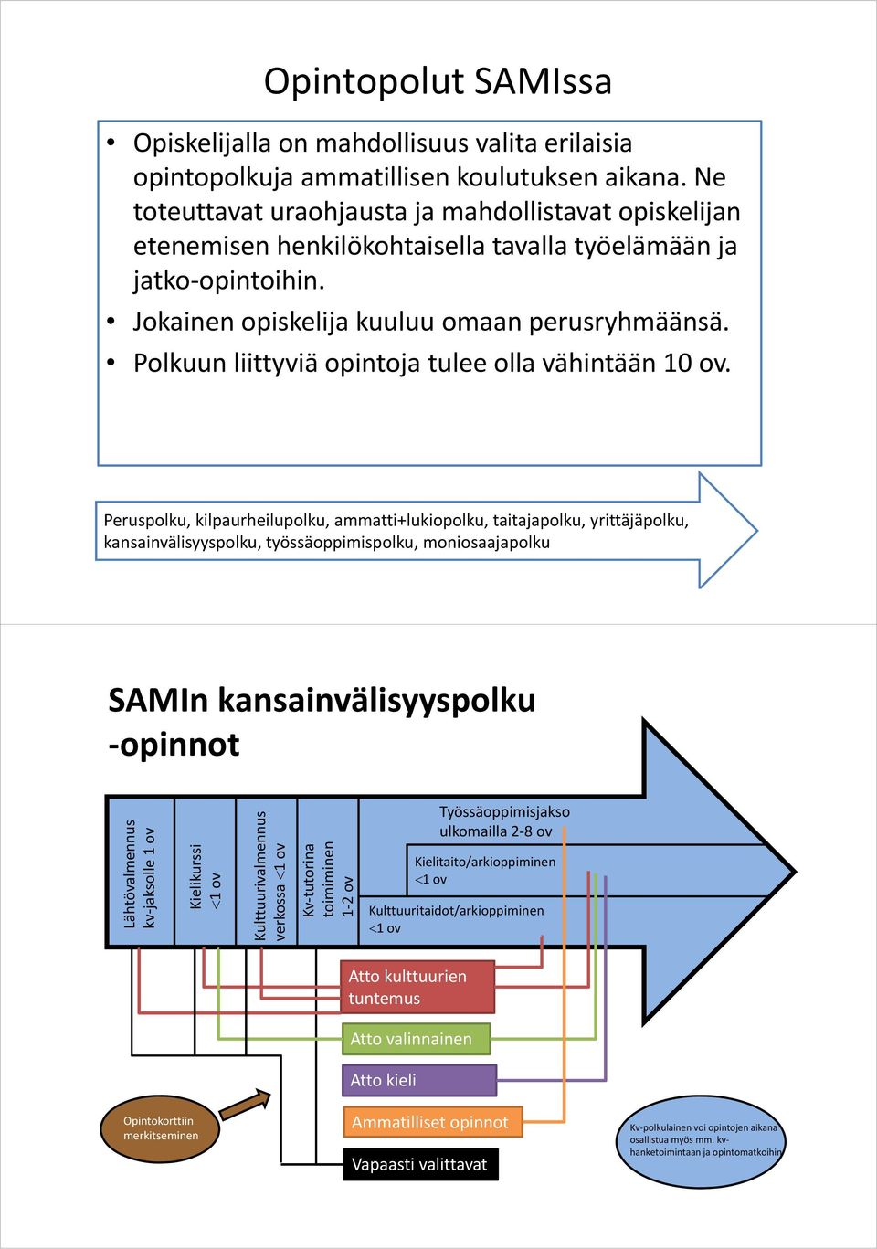 Polkuun liittyviä opintoja tulee olla vähintään 10 ov.