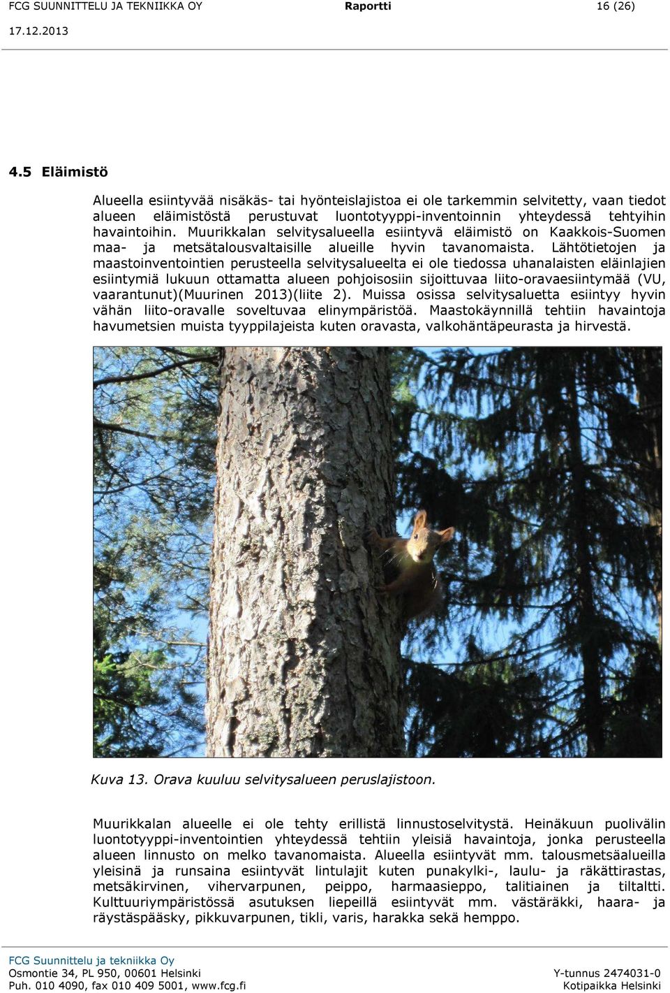 Muurikkalan selvitysalueella esiintyvä eläimistö on Kaakkois-Suomen maa- ja metsätalousvaltaisille alueille hyvin tavanomaista.