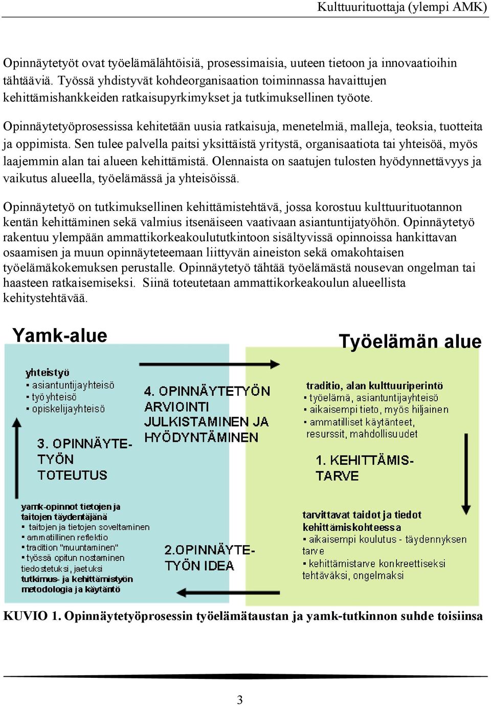 Opinnäytetyöprosessissa kehitetään uusia ratkaisuja, menetelmiä, malleja, teoksia, tuotteita ja oppimista.