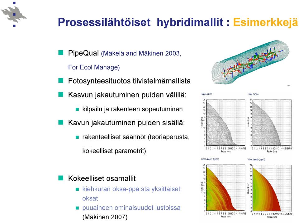 sopeutuminen Kavun jakautuminen puiden sisällä: rakenteelliset säännöt (teoriaperusta, kokeelliset