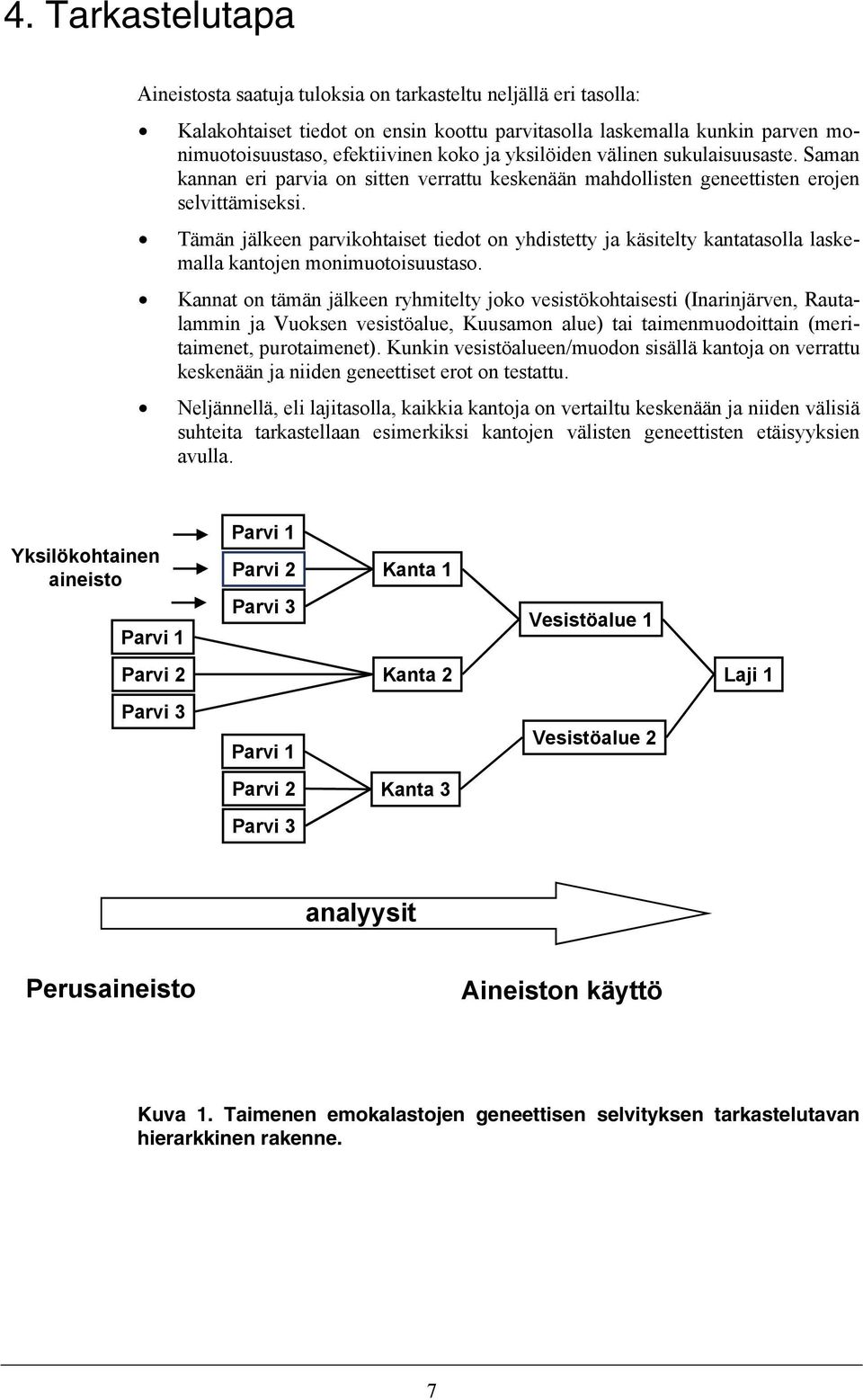 Tämän jälkeen parvikohtaiset tiedot on yhdistetty ja käsitelty kantatasolla laskemalla kantojen monimuotoisuustaso.