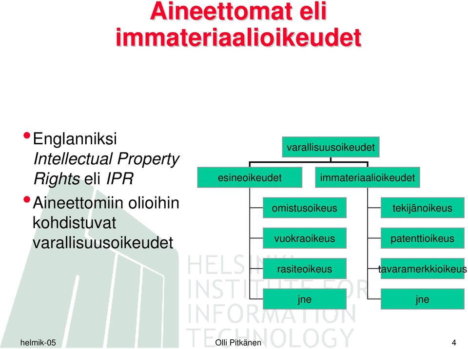 varallisuusoikeudet esineoikeudet immateriaalioikeudet omistusoikeus