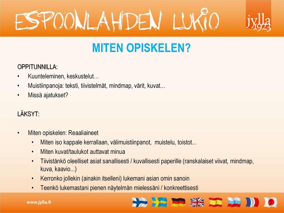 LÄKSYT: Miten opiskelen: Reaaliaineet Miten iso kappale kerrallaan, välimuistiinpanot, muistelu, toistot.