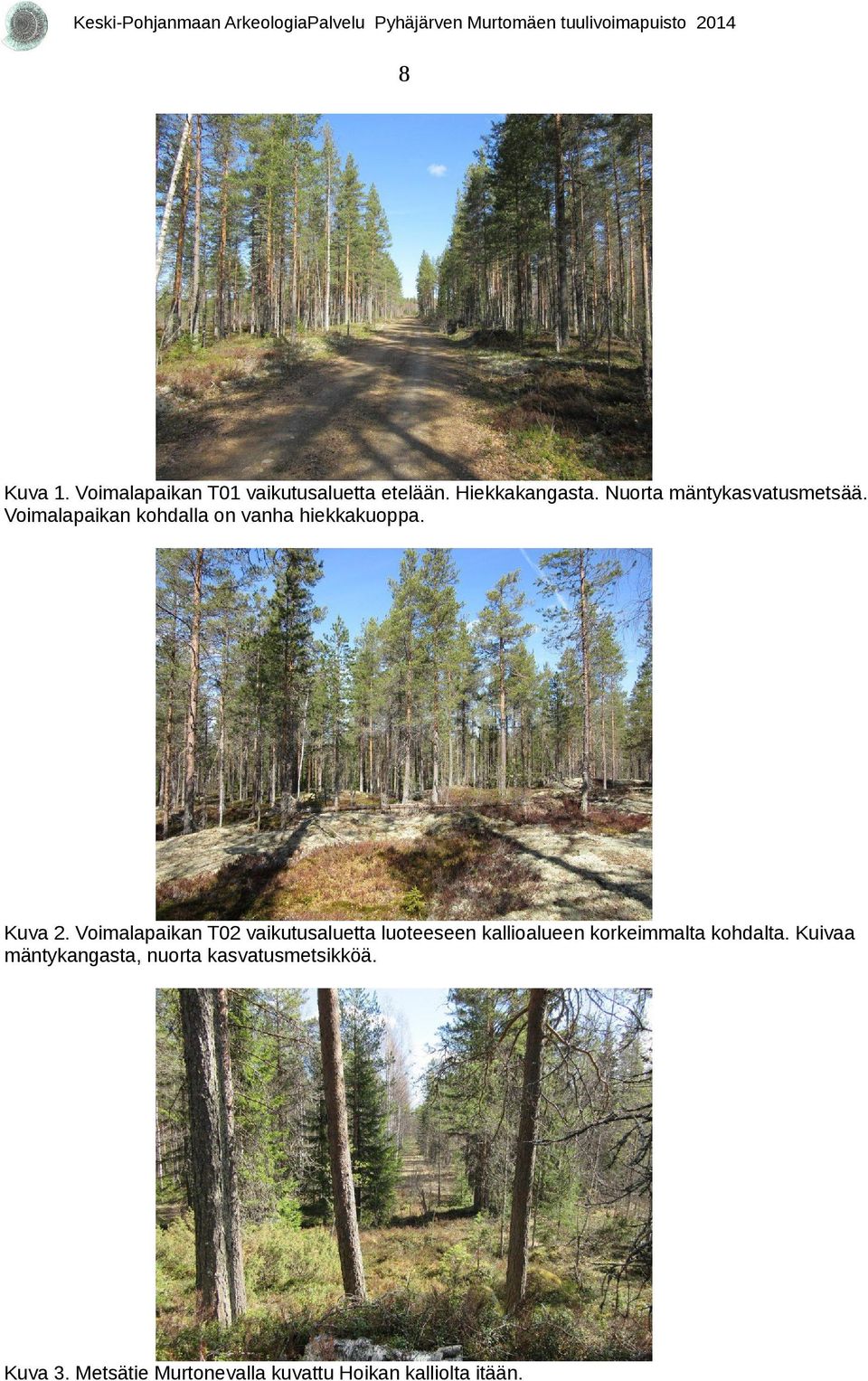 Voimalapaikan T0 vaikutusaluetta luoteeseen kallioalueen korkeimmalta kohdalta.