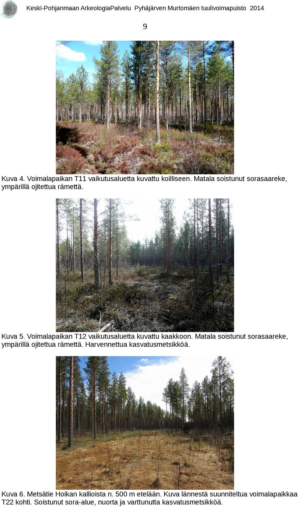 Voimalapaikan T1 vaikutusaluetta kuvattu kaakkoon. Matala soistunut sorasaareke, ympärillä ojitettua rämettä.