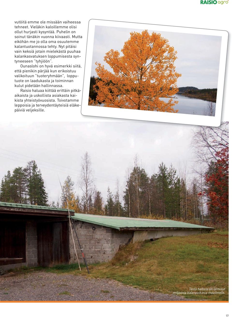 Ounaslohi on hyvä esimerkki siitä, että pienikin pärjää kun erikoistuu valikoituun tuoteryhmään, lopputuote on laadukasta ja toiminnan kulut pidetään hallinnassa.