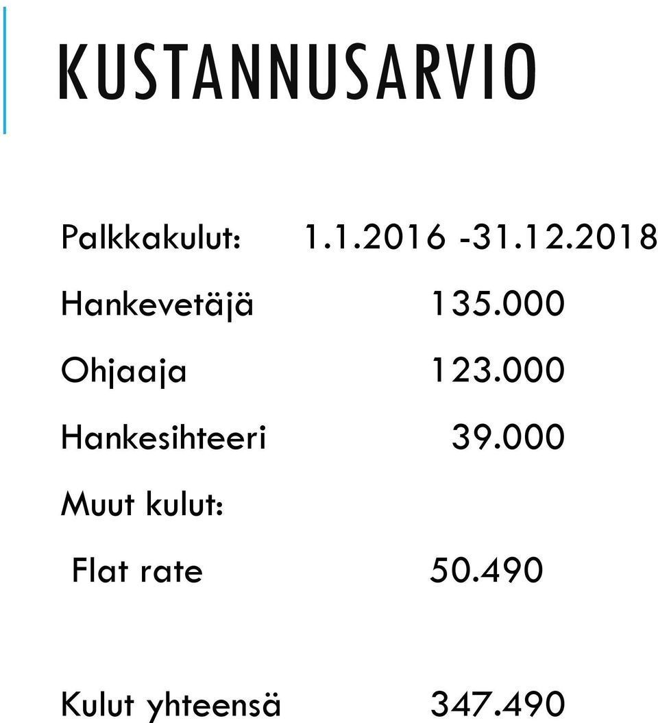 000 Ohjaaja 123.000 Hankesihteeri 39.