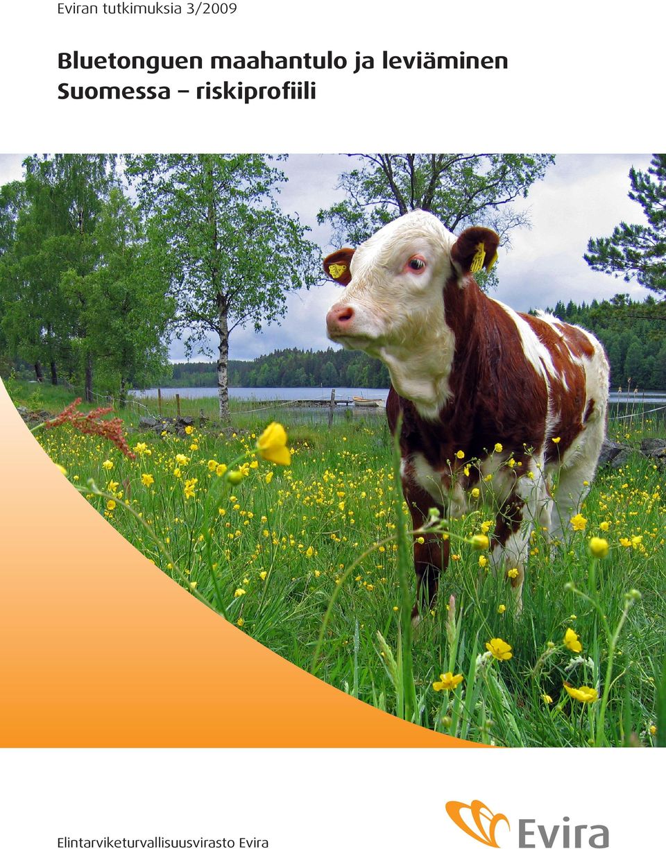 leviäminen Suomessa