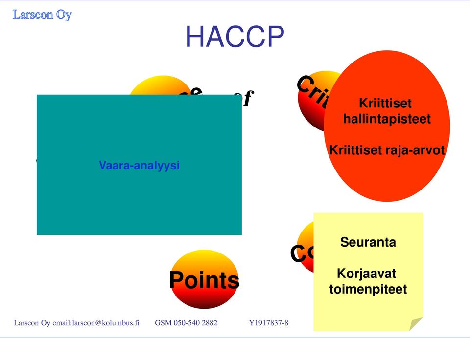 Vaara-analyysi Kriittiset