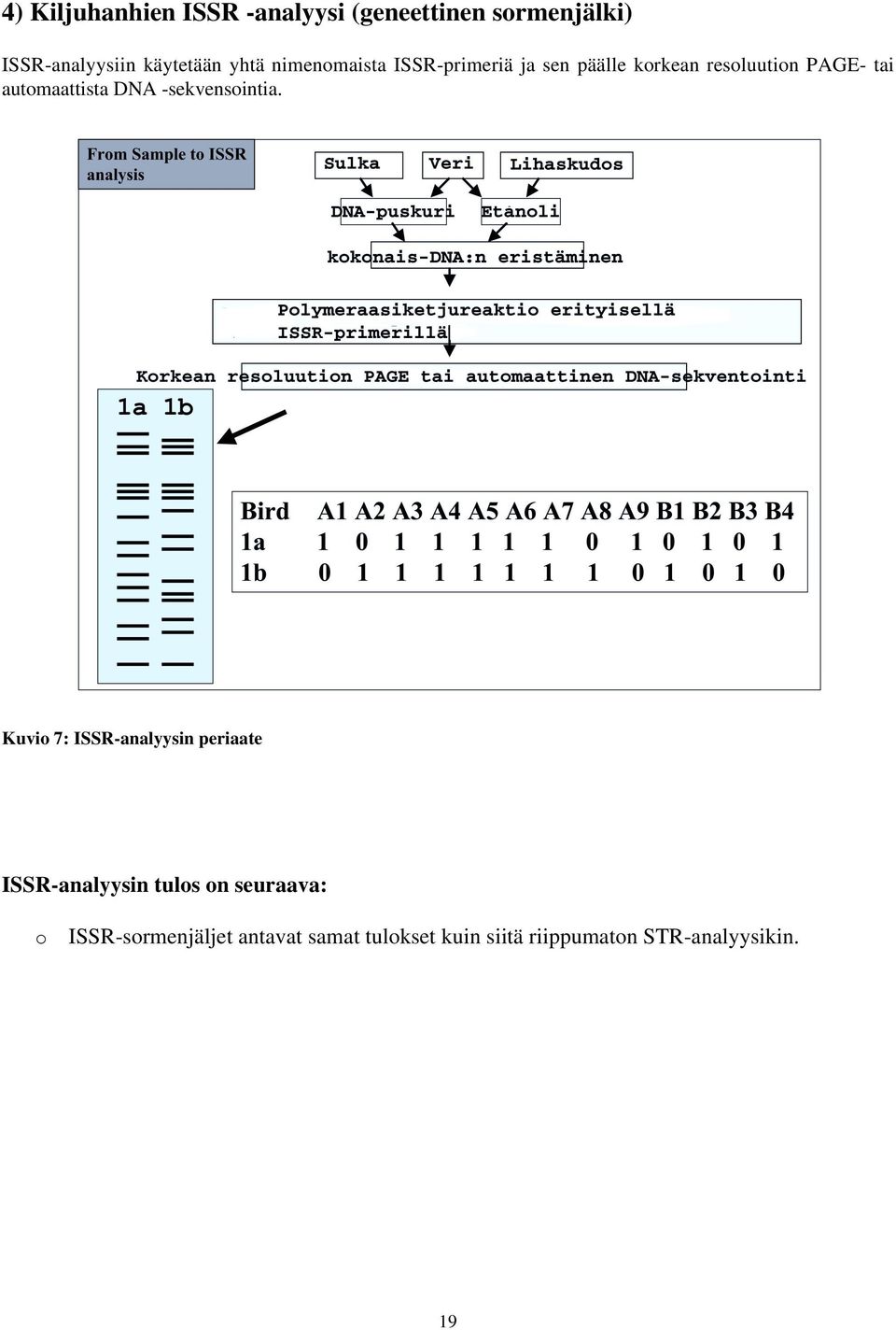 automaattista DNA -sekvensointia.