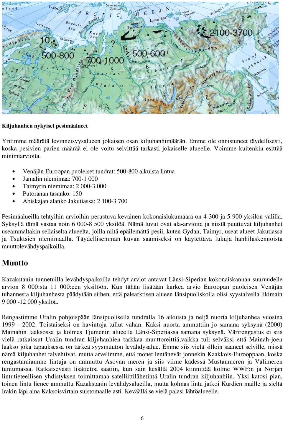 Venäjän Euroopan puoleiset tundrat: 500-800 aikuista lintua Jamalin niemimaa: 700-1 000 Taimyrin niemimaa: 2 000-3 000 Putoranan tasanko: 150 Abiskajan alanko Jakutiassa: 2 100-3 700 Pesimäalueilla