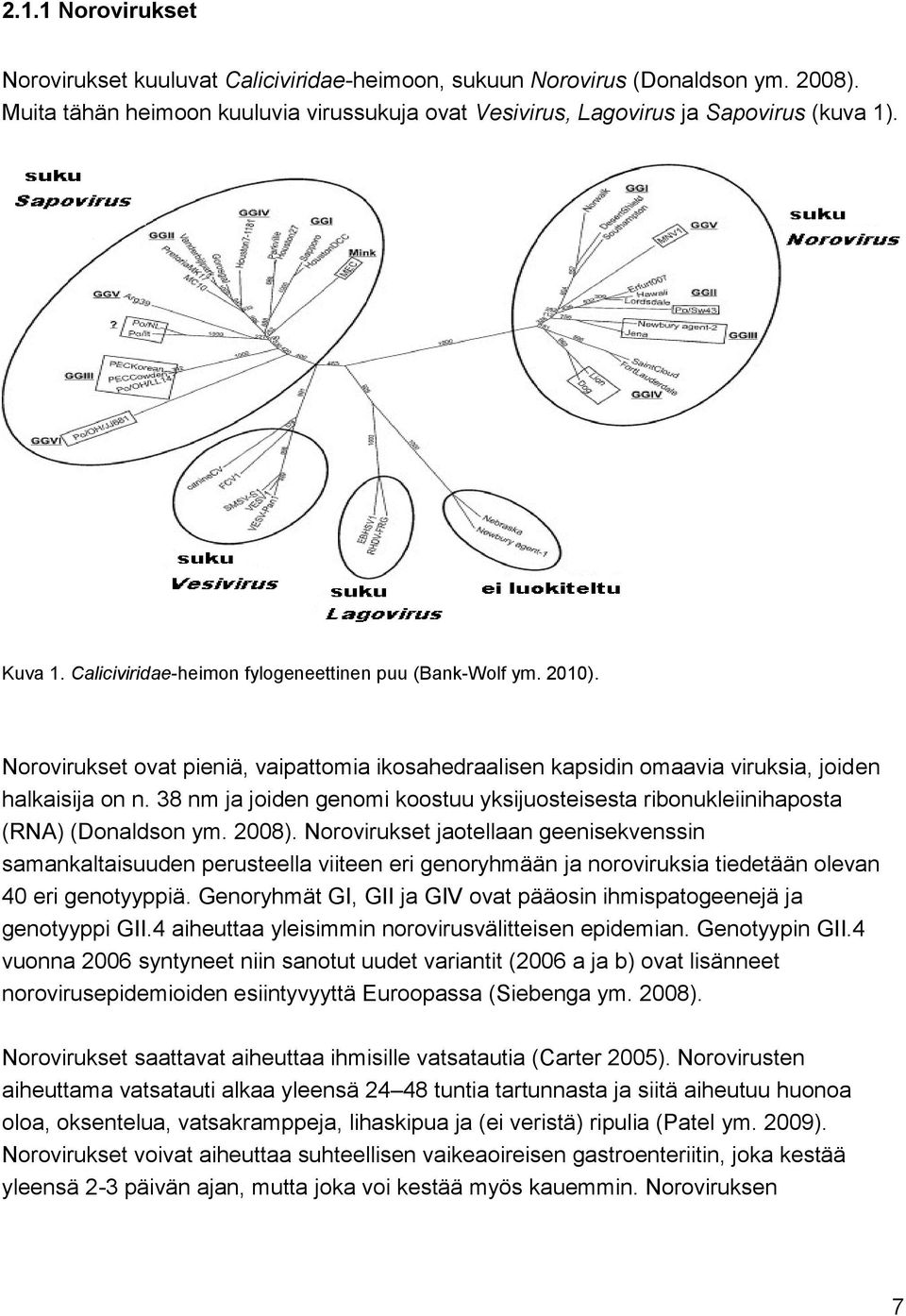 38 nm ja joiden genomi koostuu yksijuosteisesta ribonukleiinihaposta (RNA) (Donaldson ym. 2008).