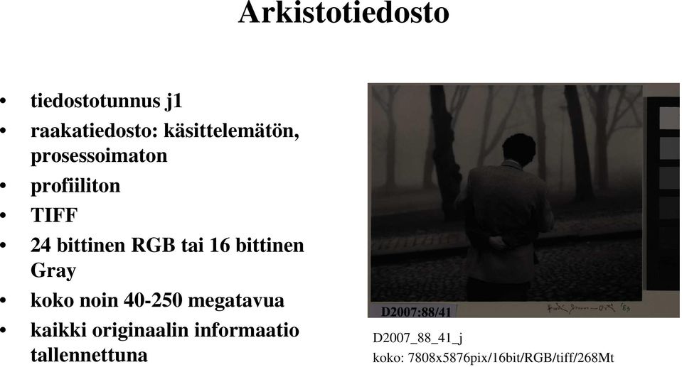 Gray koko noin 40-250 megatavua kaikki originaalin informaatio