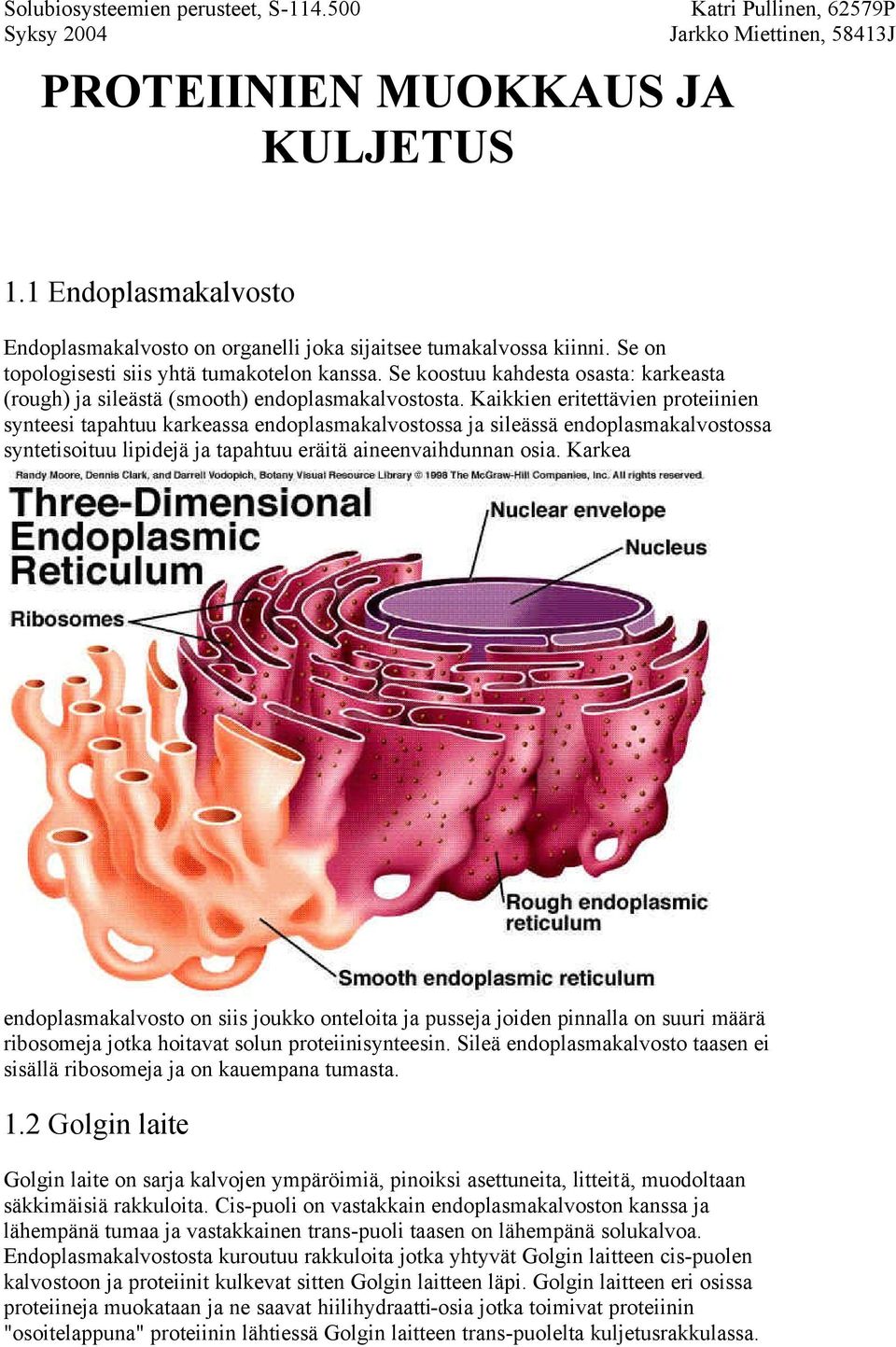 Kaikkien eritettävien proteiinien synteesi tapahtuu karkeassa endoplasmakalvostossa ja sileässä endoplasmakalvostossa syntetisoituu lipidejä ja tapahtuu eräitä aineenvaihdunnan osia.