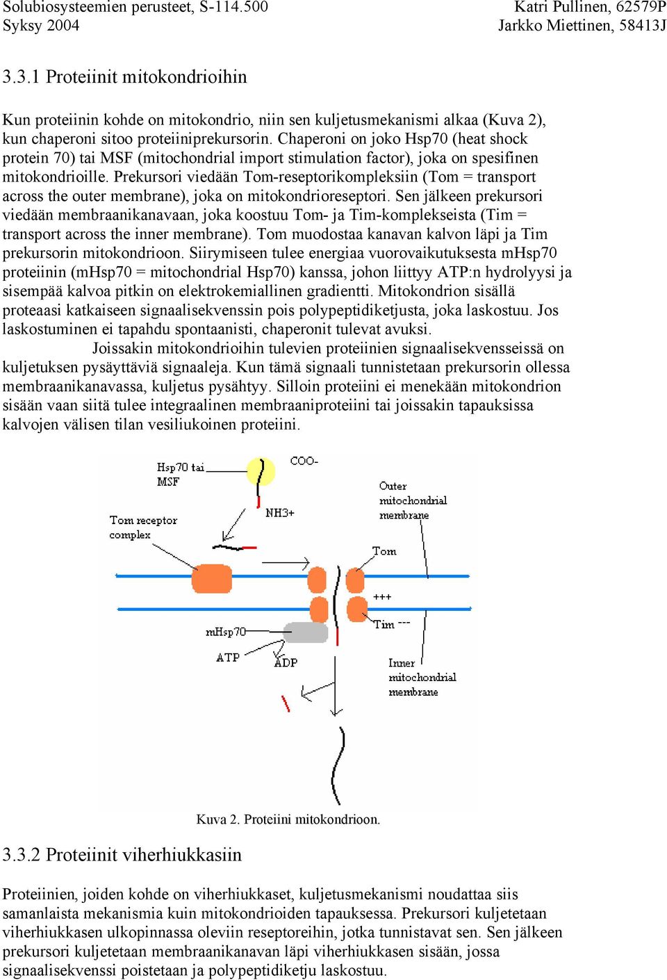 Prekursori viedään Tom-reseptorikompleksiin (Tom = transport across the outer membrane), joka on mitokondrioreseptori.